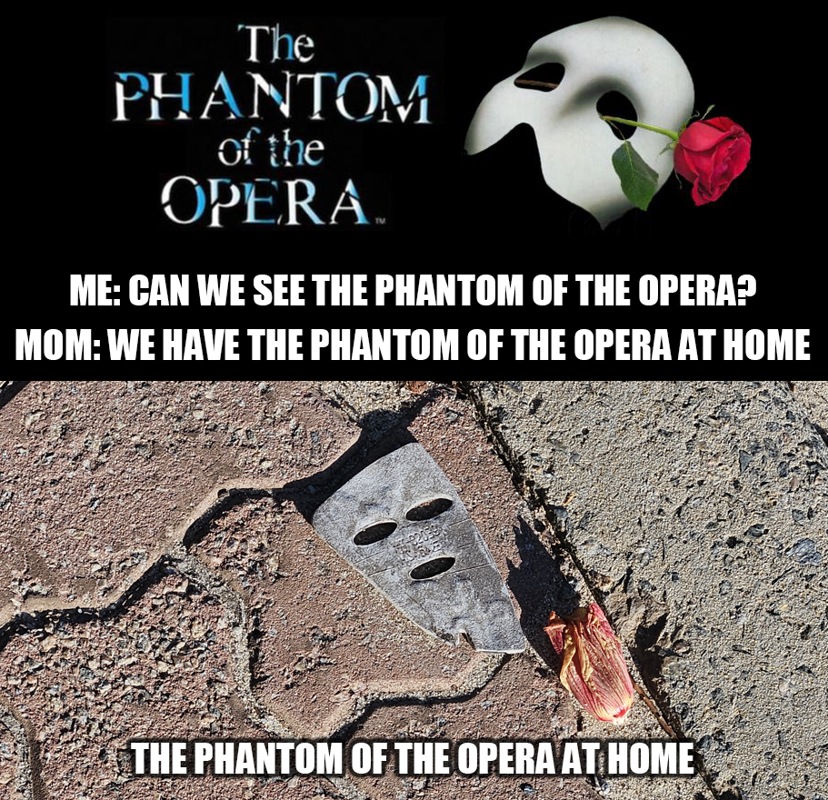 Me: Can we see the Phantom of the Opera?
Mom: We have the Phantom of the Opera at home.
The Phantom of the Opera at Home - a withered flower and part of a shoe that looks like a mask on the side of the road